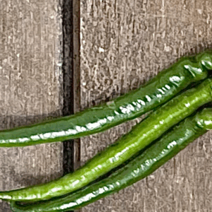 Chili